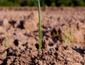 IKP pieaugums 2019. gadā – 2,2%