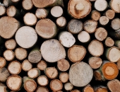 2019. gada otrajā pusgadā ievērojams apaļkoku iepirkumu cenu samazinājums