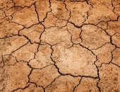 Kuras nozares krīze skārusi visvairāk?