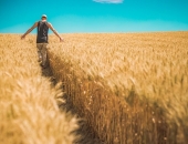 Sezonas laukstrādniekiem jāpiemēro īpašs nodokļu režīms