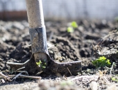 Strādnieks uz dažām dienām – cik tas ir vienkārši?