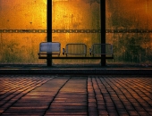 Kompensēs zaudējumus pārvadātājiem