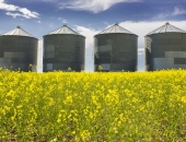 Eksportējošiem pārtikas produktu ražotājiem būs pieejams atbalsts subsidētajām darba algām