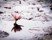 Uzņēmējiem būs pieejams atbalsts augstas vērtības produktu izveidošanai