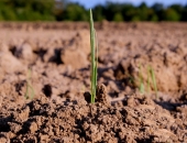 FM: deflācija Latvijā mazinās