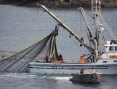 Pārtikas nozarē bijis raibs gads