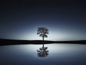 Tiesa piekrīt VID par sabiedriskā labuma organizācijas statusa atņemšanu