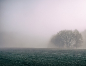 Latvijā lauksaimniecības zemes cena viena no zemākajām Eiropā