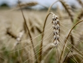 Kā klājas lauksaimniekiem?