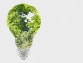 Jauna tehnoloģija - oglekļa kalkulators meža īpašniekiem