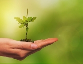 Atteikties vai reģistrēties MUN maksātāja statusam var līdz 15. decembrim