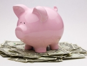 Dārgāks kļuvis viss, izņemot cūkas