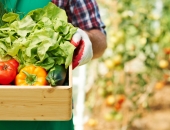 Atbalsts jaunajiem lauksaimniekiem uzņēmējdarbības uzsākšanai