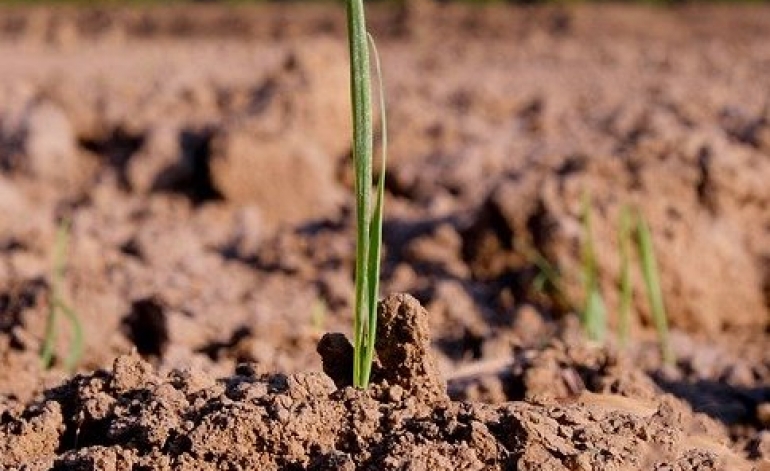 IKP pieaugums 2019. gadā – 2,2%