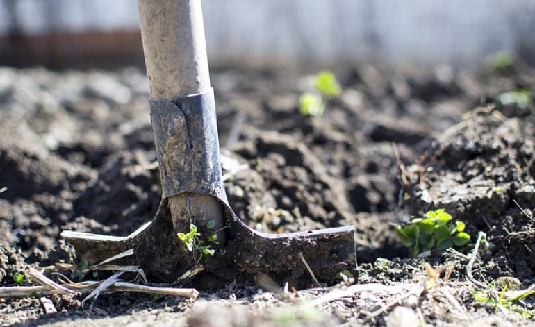 Strādnieks uz dažām dienām – cik tas ir vienkārši?