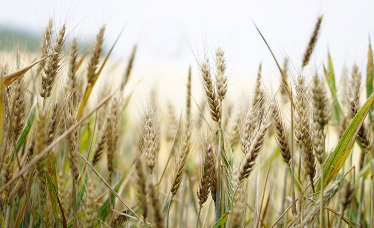 Vietējais patēriņš nekompensē tūristu neapēsto