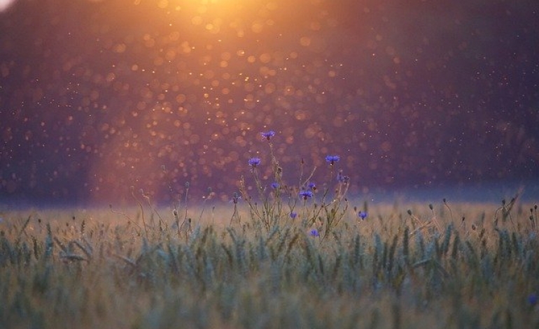 Gaidāmas izmaiņas atbrīvojuma piemērošanā ekoloģiski nozīmīgu platību izveidei