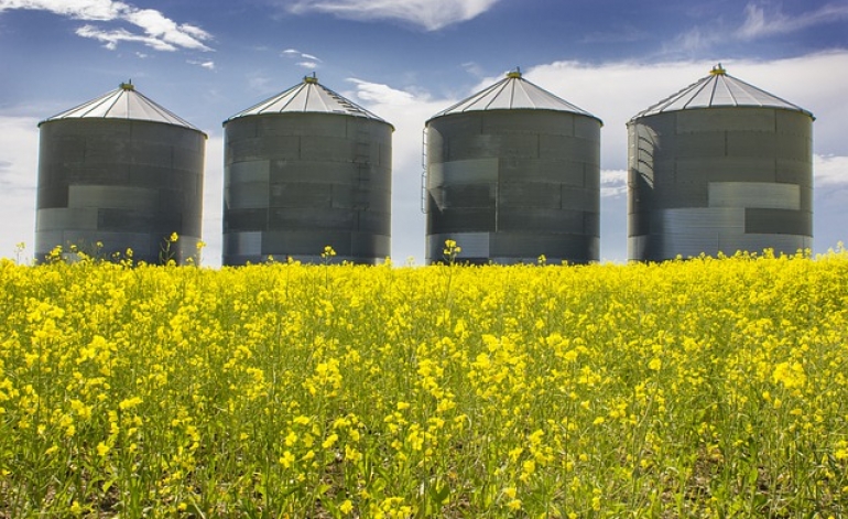 Eksportējošiem pārtikas produktu ražotājiem būs pieejams atbalsts subsidētajām darba algām