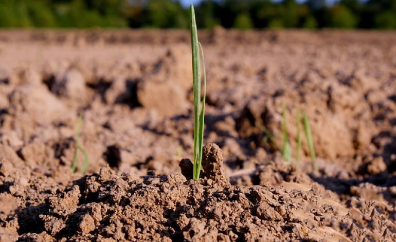 FM: deflācija Latvijā mazinās