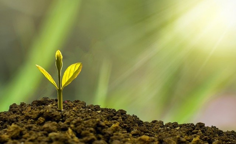 Altum garantijas un aizdevumi komersantiem būs pieejami līdz šā gada beigām