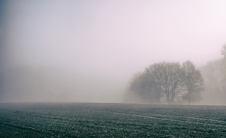 Latvijā lauksaimniecības zemes cena viena no zemākajām Eiropā