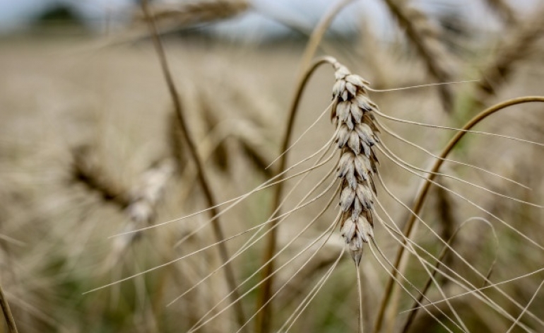 Kā klājas lauksaimniekiem?