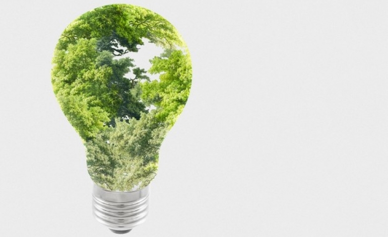 Jauna tehnoloģija - oglekļa kalkulators meža īpašniekiem