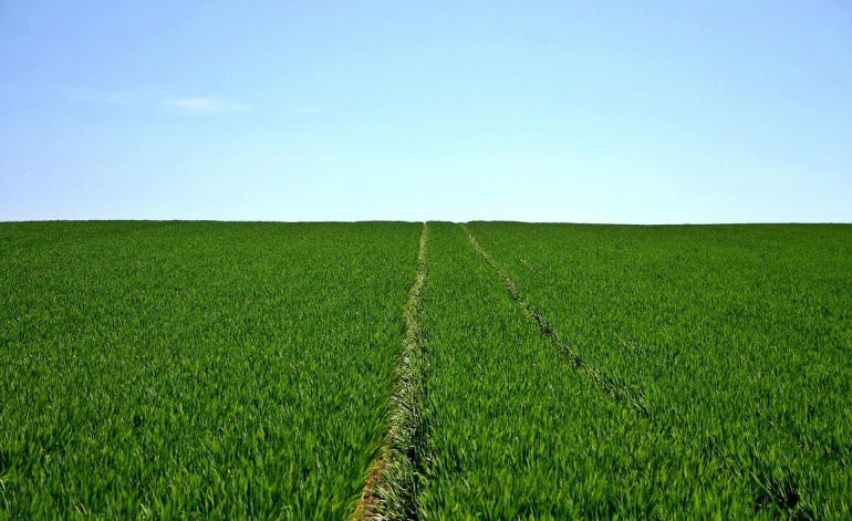 Uzliek sodu par piespiedu zemes nomas maksas parādu piedzīšanu